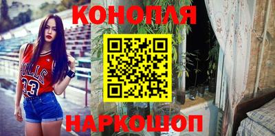мдпв Можга