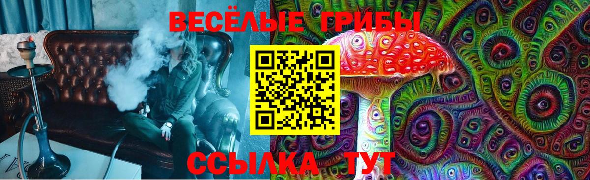 Владикавказ  Галлюциногенные грибы Cubensis  Вход с VPN  Псилоцибиновые грибы мицелий 